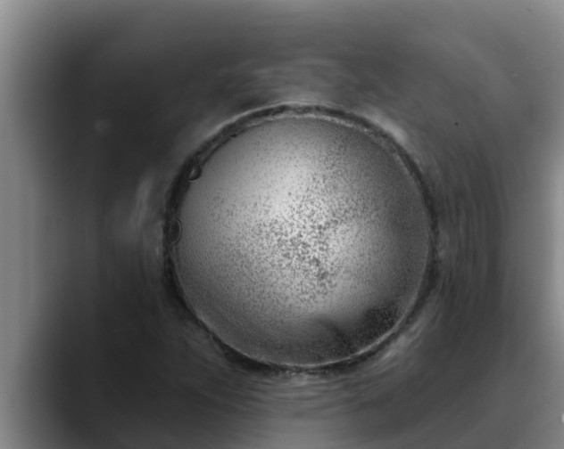 X0000090421263200707201112