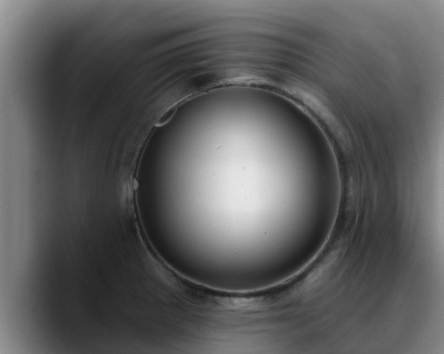 X0000090421281200707201111