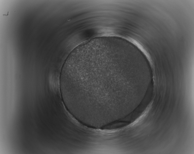 X0000090421289200707201111