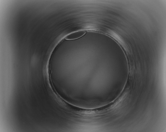 X0000090421291200707201111