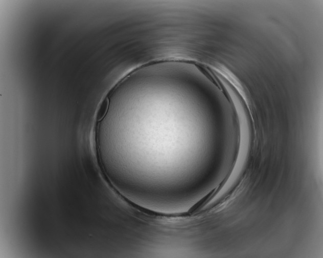 X0000090421293200707201111