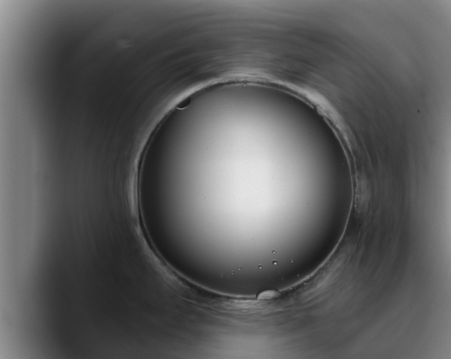 X0000090421295200707201111