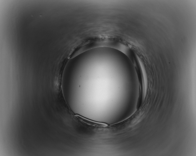 X0000090421300200707201111