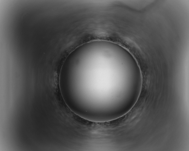 X0000090421301200707201111