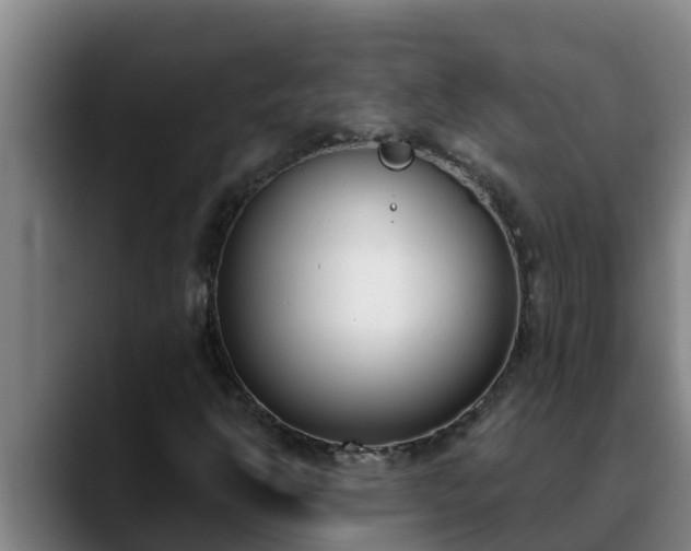 X0000090421302200707201111