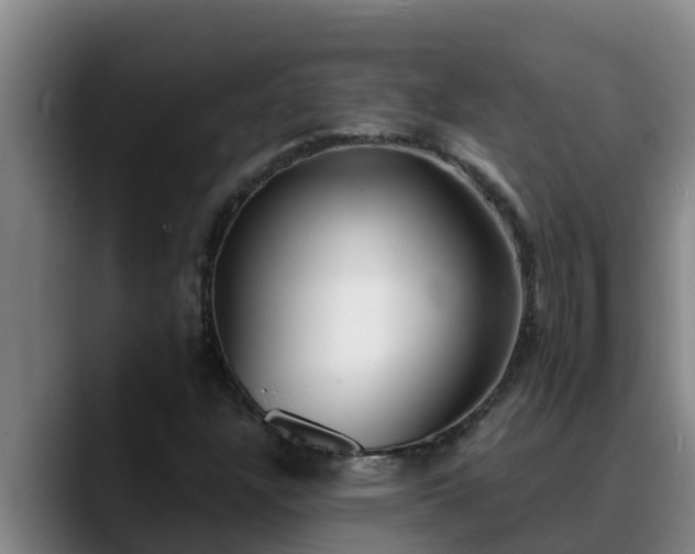 X0000090421304200707201111