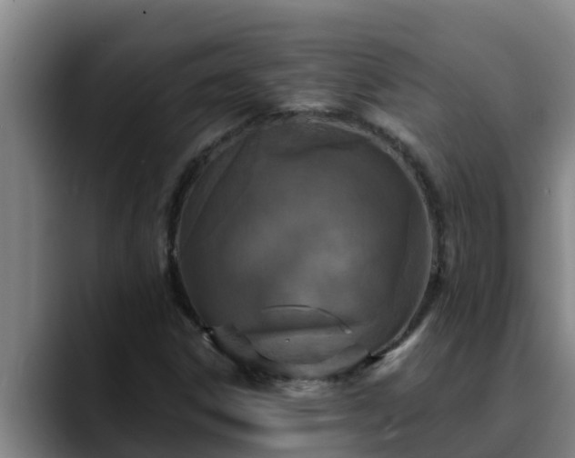 X0000090421306200707201111