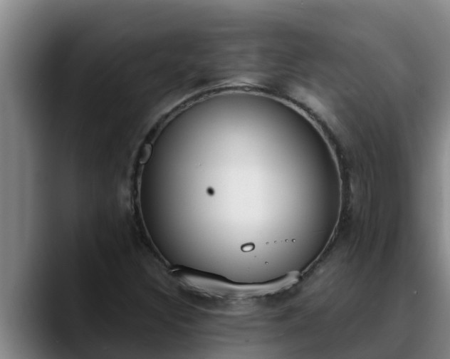 X0000090421308200707201111