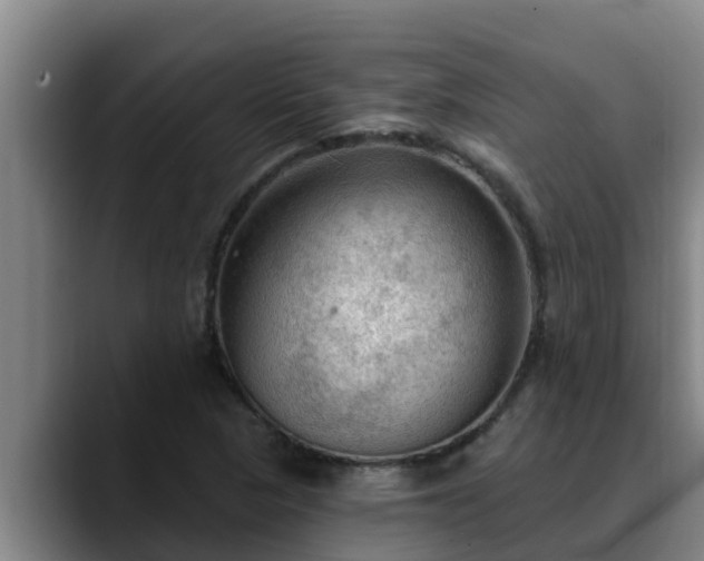 X0000090421313200707201111