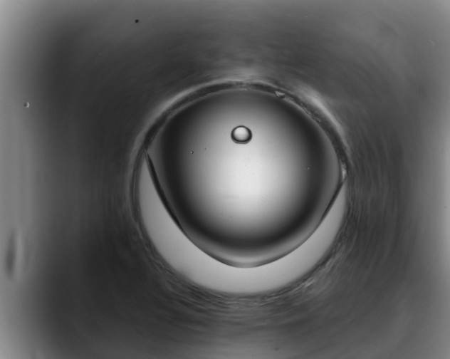 X0000090421320200707201111