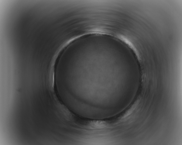 X0000090421323200707201111