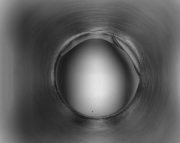 X0000090421328200707201111