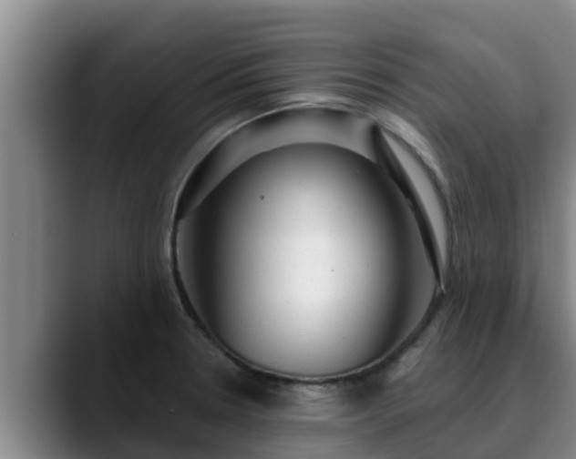 X0000090421330200707201111