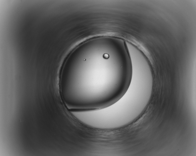 X0000090421332200707201111