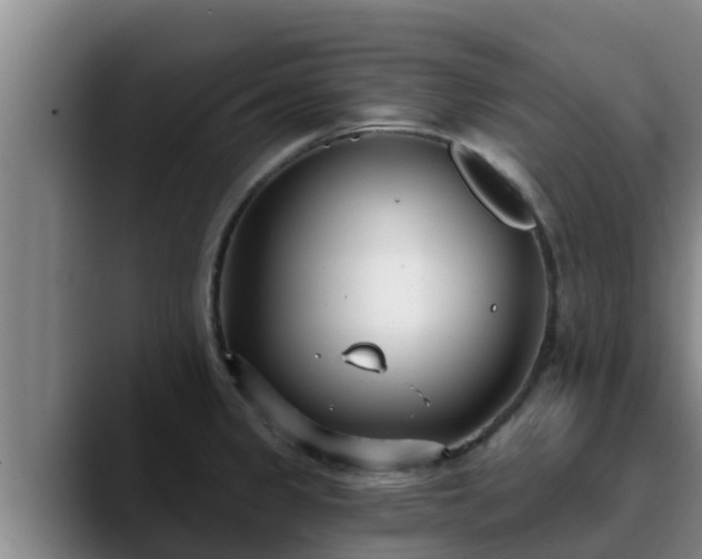 X0000090421333200707201111