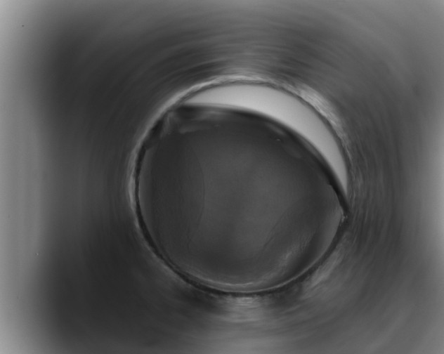 X0000090421334200707201111