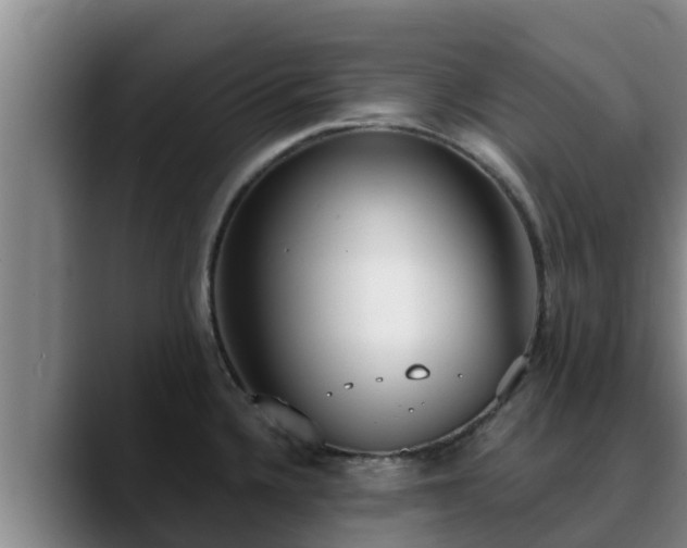 X0000090421336200707201111