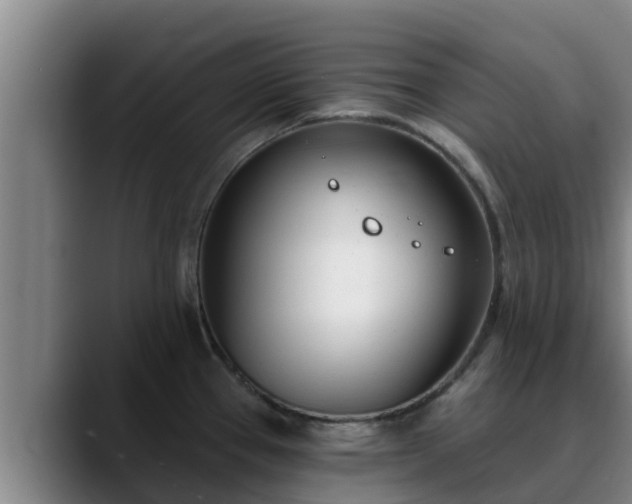 X0000090421337200707201111