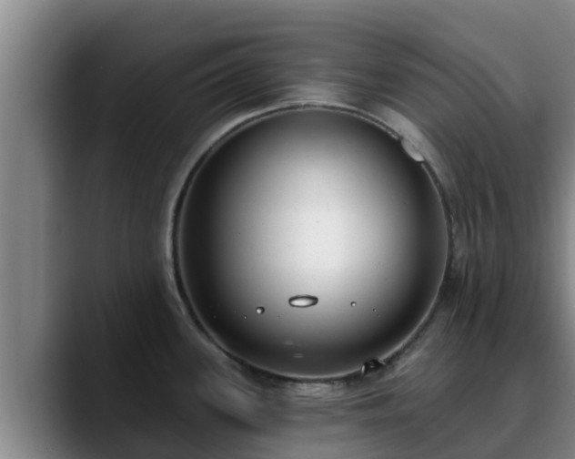 X0000090421339200707201111