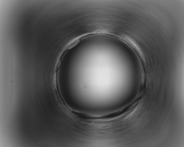 X0000090421340200707201111