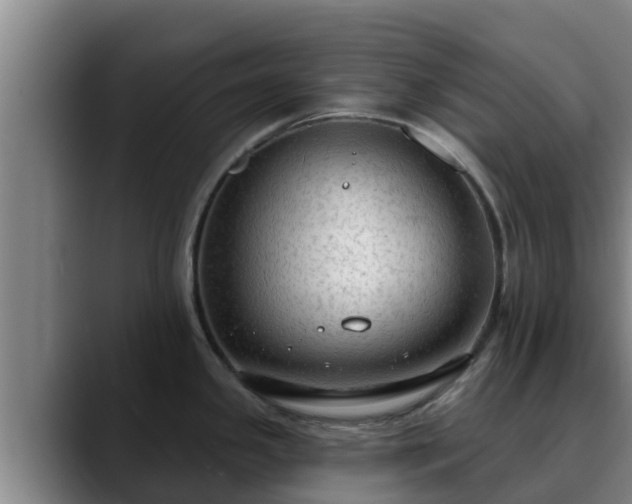 X0000090421341200707201111