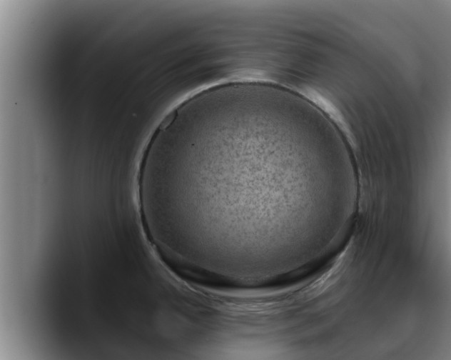 X0000090421342200707201111