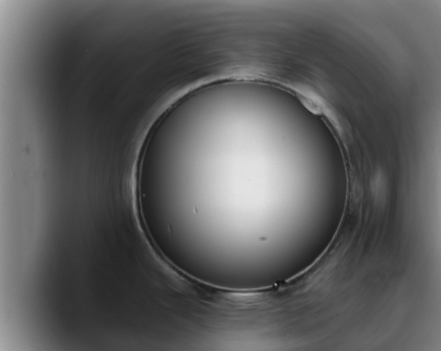 X0000090421343200707201111