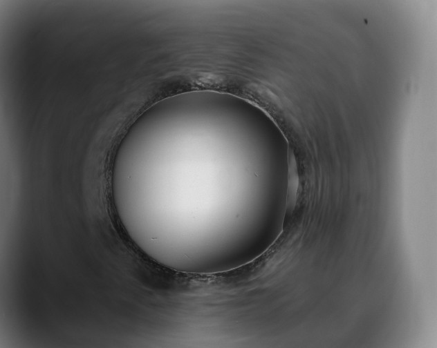 X0000090421345200707201111