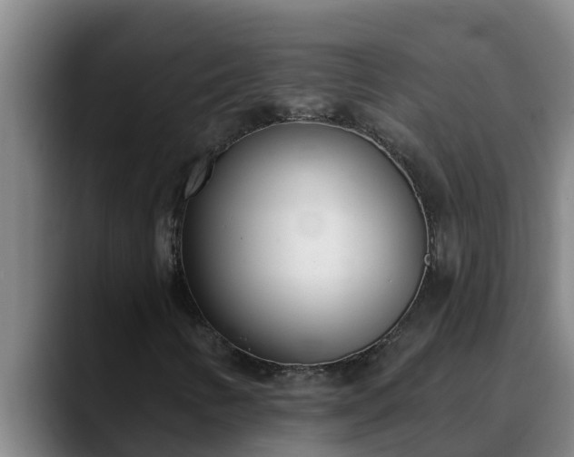 X0000090421346200707201111