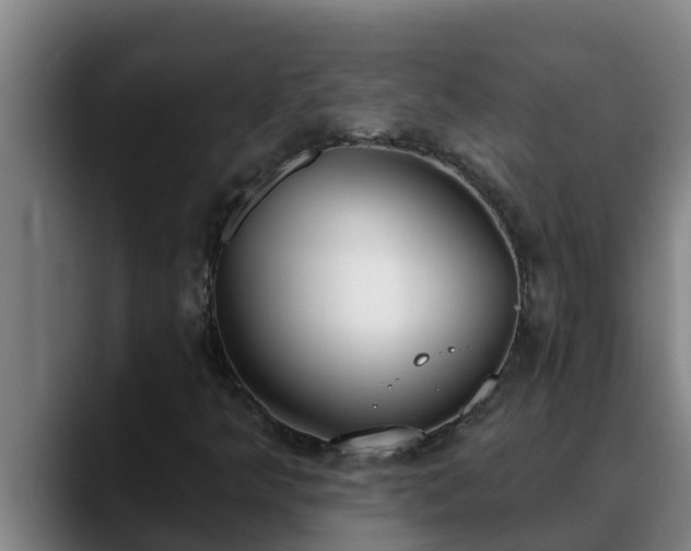 X0000090421349200707201111