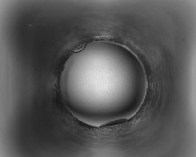 X0000090421351200707201111