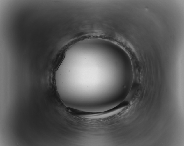 X0000090421352200707201111