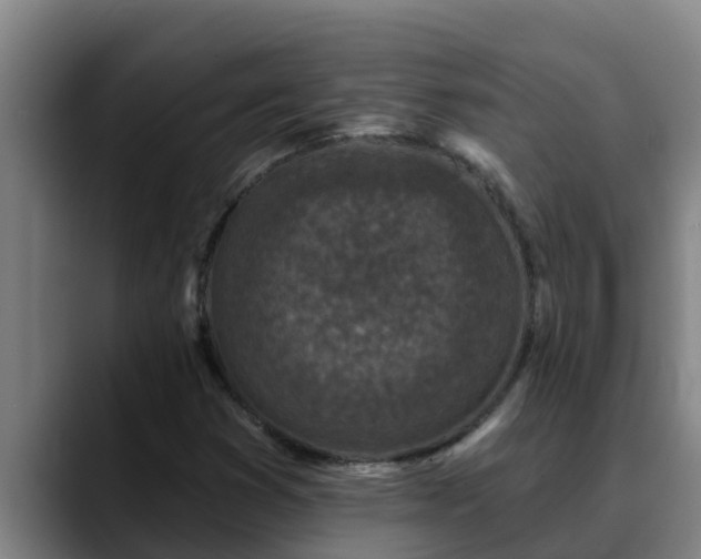 X0000090421353200707201111