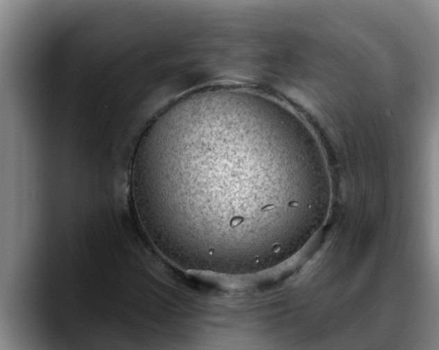 X0000090421355200707201111