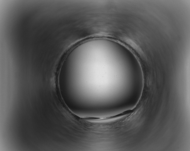 X0000090421356200707201111