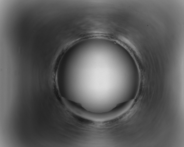 X0000090421357200707201111