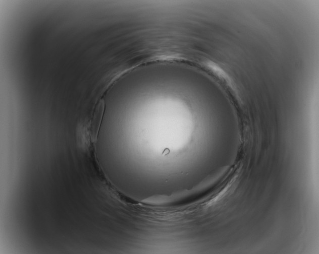 X0000090421361200707201111