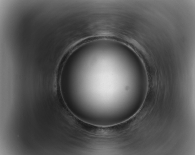 X0000090421364200707201110
