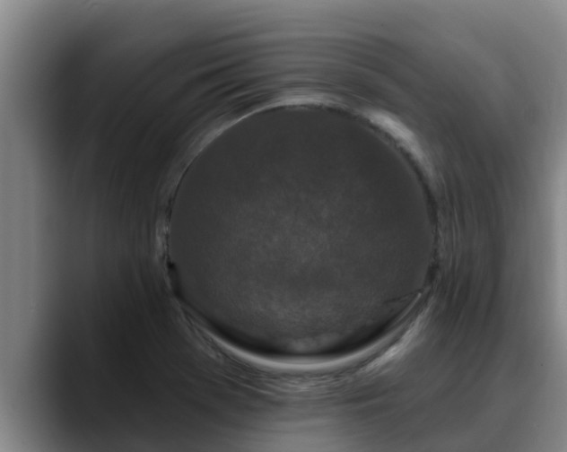X0000090421369200707201110