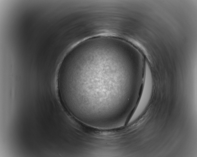 X0000090421375200707201110