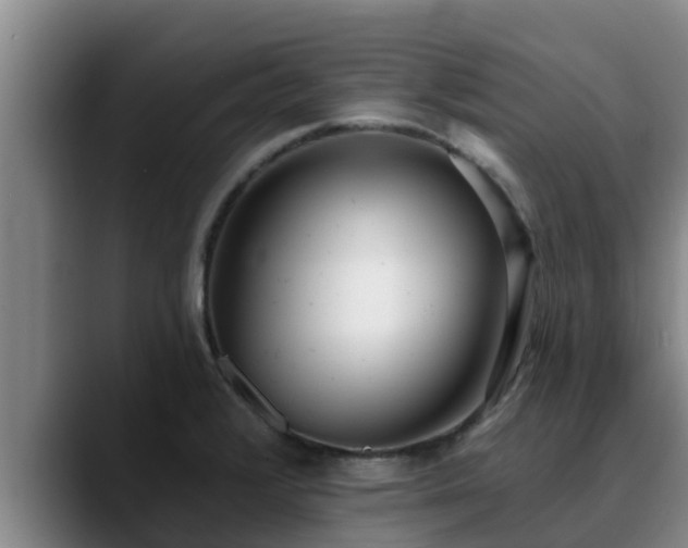X0000090421376200707201110