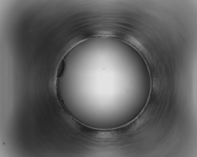 X0000090421378200707201110