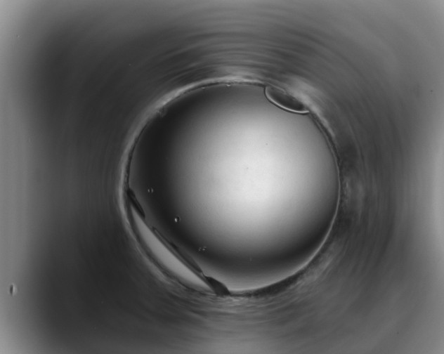 X0000090421379200707201110