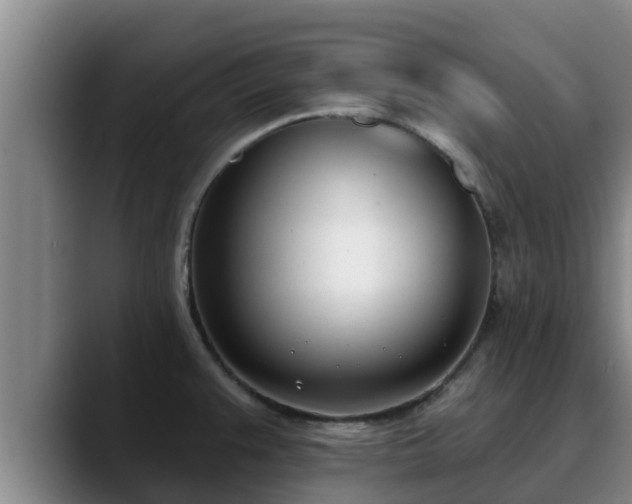 X0000090421383200707201110