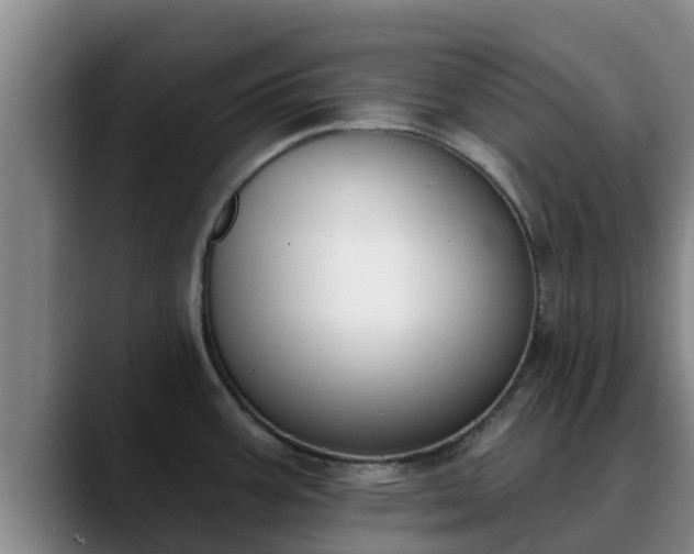 X0000090421387200707201110