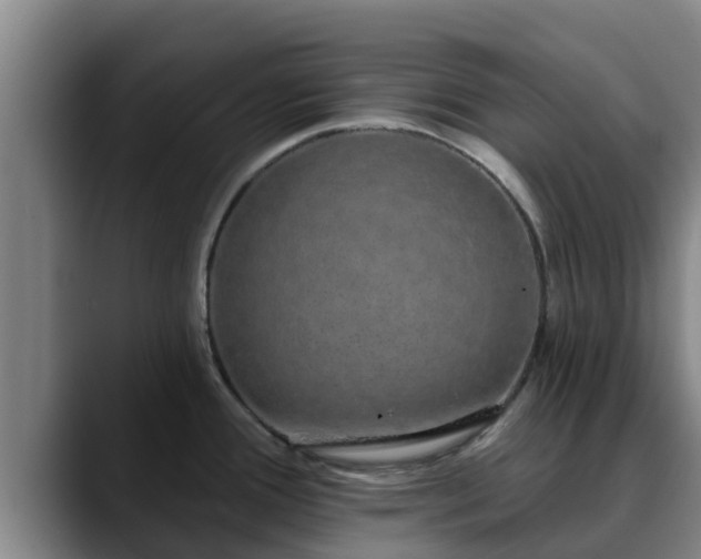 X0000090421388200707201110