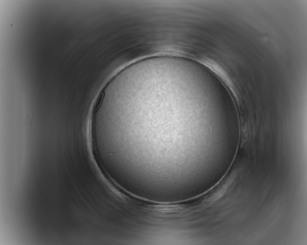 X0000090421391200707201110