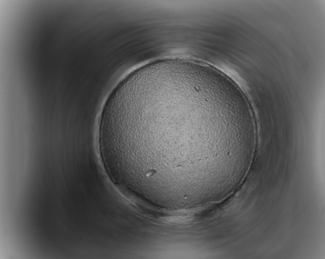 X0000090421392200707201110