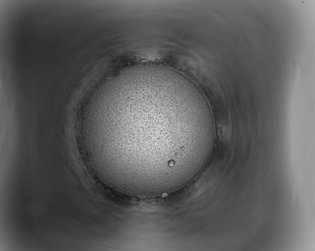 X0000090421393200707201110