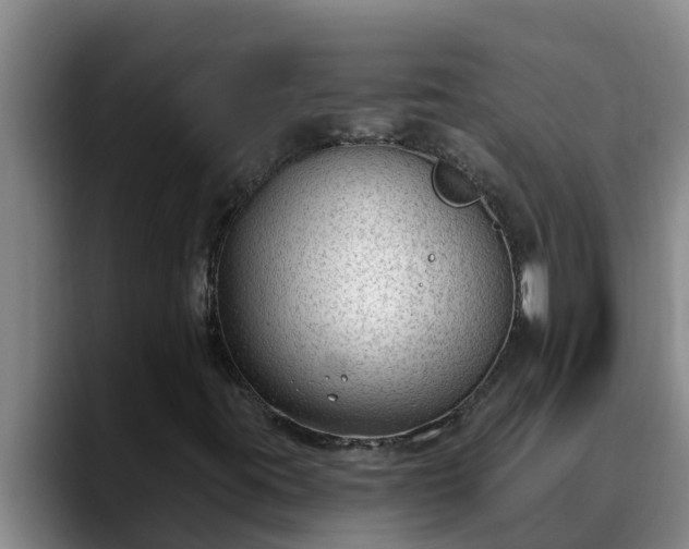 X0000090421395200707201110